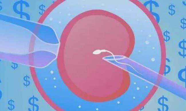 (a)代孕官方网站,2023吉林做供卵三代试管婴儿要多少钱？附吉林供卵三代试管生